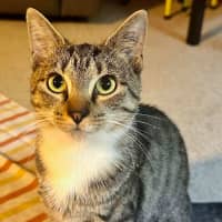 Photo of Fish   Located In Brunswick West