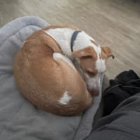 Photo of Sandy