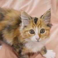 Photo of Mia