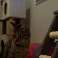 Photo of Charlie 