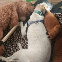 Photo of Ricky Bobby