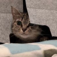 Photo of 💖Rin!!💖