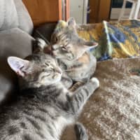Photo of Mindy And Mork