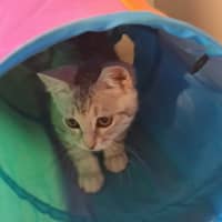 Photo of Osha & Rosemary