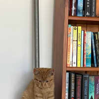 Photo of Arlo