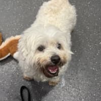 Photo of Charlie