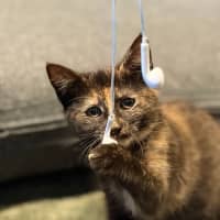 Photo of Whispa