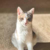 Photo of Cassidy / Cooper