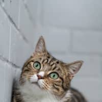 Photo of Tahlia