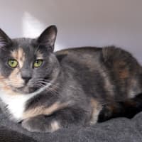 Photo of Stormy Rsuk013730