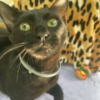 Photo of Roland (0157)