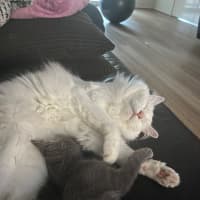 Photo of Zeus
