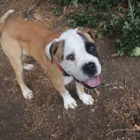 Photo of Betty