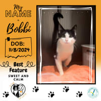 Photo of Bobbi