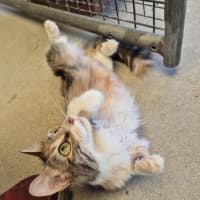 Photo of Maree! 🎀