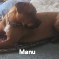 Photo of Manu