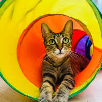 Photo of Edna