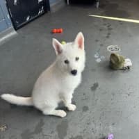 Photo of Maya