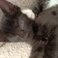 Photo of Jun