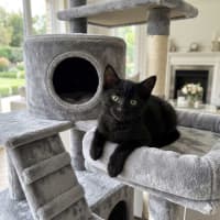 Photo of Ollie