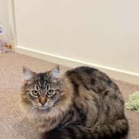 Photo of Cha Cha