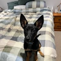 Photo of Kuda
