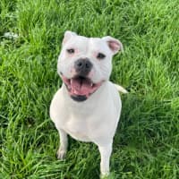 Photo of Tilly