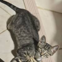 Photo of Jeffrey
