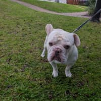 Photo of Peanut