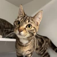 Photo of Fifi