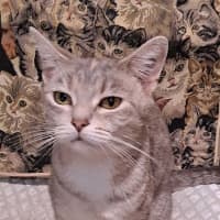 Photo of Annie