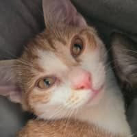 Photo of Aubrey