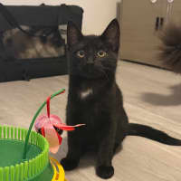 Photo of Banksy 🎨