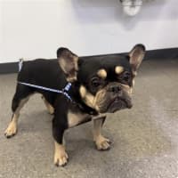 Photo of Jolie