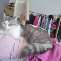 Photo of Nala