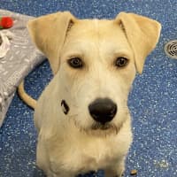 Photo of Grace Kelly