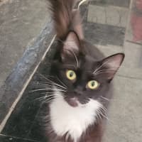 Photo of  💗 Vanessa 🐈‍⬛