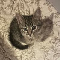 Photo of Kelsey