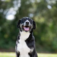 Photo of Daisy