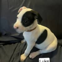 Photo of Luke