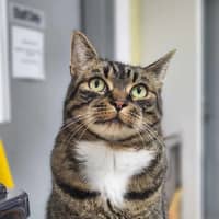 Photo of 🎮 Nippet 5903 🎮