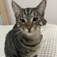 Photo of Reggie