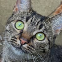 Photo of Polly