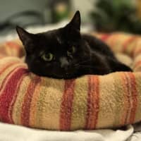 Photo of Mitzy Quinnell