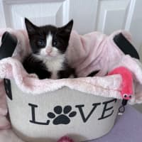 Photo of Addy 🌸🌸