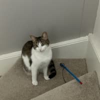 Photo of Pippy