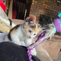 Photo of Sophie