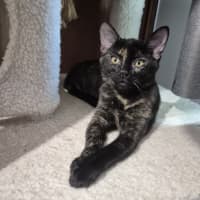 Photo of Ravern