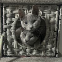 Photo of Elani 😻👑