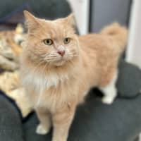 Photo of Garth (0030)